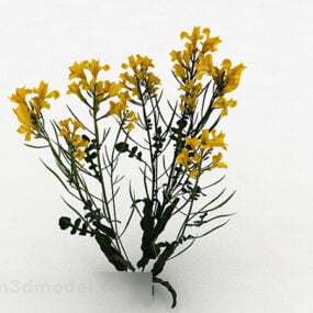 Yellow Rapeseed Plant 3d model