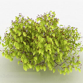 Žlutá listová okrasná rostlina 3D model