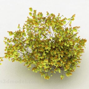 黄叶观赏植物3d模型