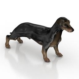 Model 3d Baka Anjing Dachshund