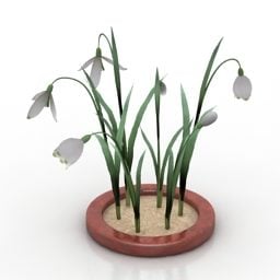 Flowers Galantus Plant 3d model