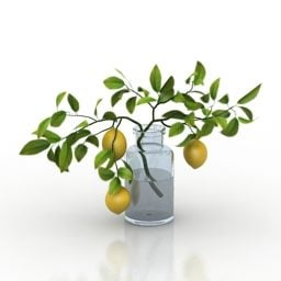Vase Lemon Plant 3d model