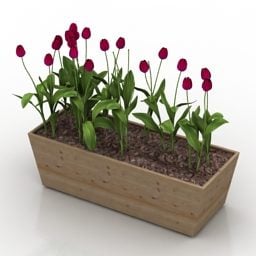 Wooden Rectangle Flowers Planter 3d model