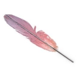 Feather 3d-modell