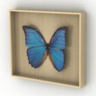Butterfly Exhibition Frame