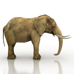 Modello 1d dell'elefante asiatico V3