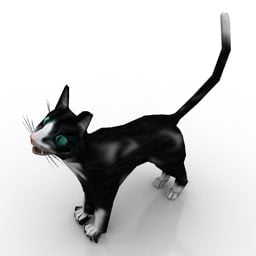 Black Cat 3d-modell