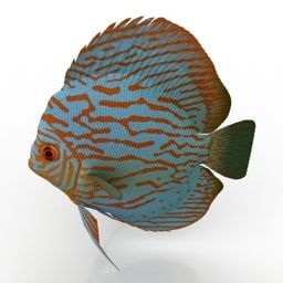 수족관 물고기 3d 모델