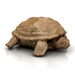 3d модель морської черепахи-амфіподи