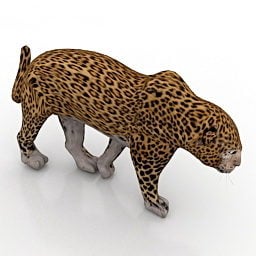 Spotted Leopard 3d model