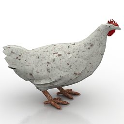 Model 3d Hewan Ayam Putih