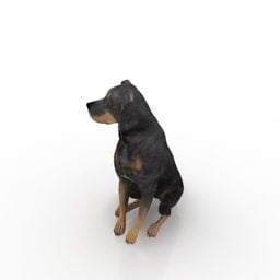 Perro negro pata amarilla modelo 3d