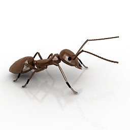 Kırmızı Karınca V1 3d modeli