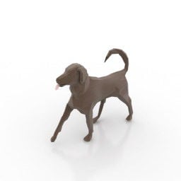 Grey Dog 3d model
