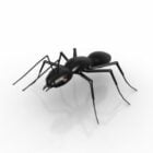 Wild Black Ant