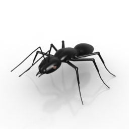 野生の黒アリ3Dモデル