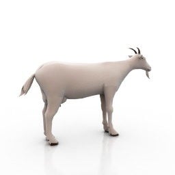 Mountain Goat V1 3d model