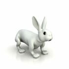Hvid lille kanin