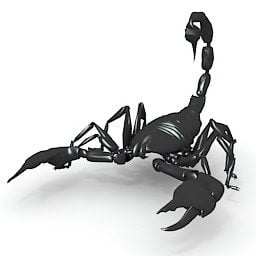 Black Scorpion V1 3d model