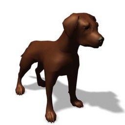3D-model van kleine hond