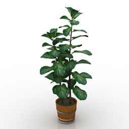Green Tree House Potted Plants 3d model
