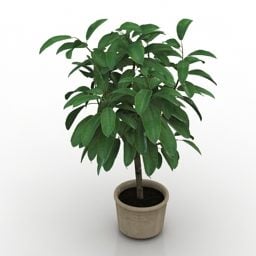 Modello 3d in vaso per interni pianta albero