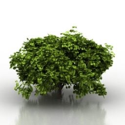 Bush Trees 3d model