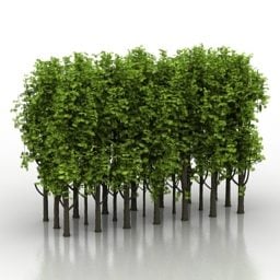 Bush Trees Forest 3d-model