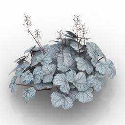 Modelo 3d de flor de grama azul