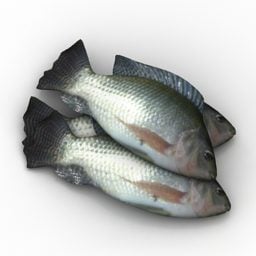魚テラピア動物3Dモデル