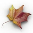 Canadian Autumn Maple Leaf