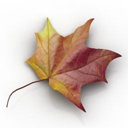 3д модель канадского осеннего кленового листа