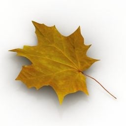 Leaf Autumn 3d model