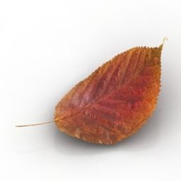 Red Leaf Autumn 3d model