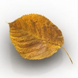 3д модель Природа Лист Осень