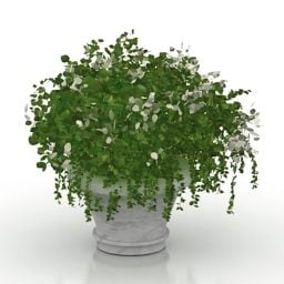 Plant Vase Novello Decor 3d model