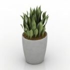 White Potted House Plant