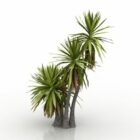 Пальмовая юкка Aloifolia