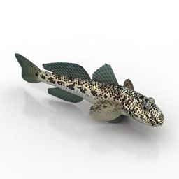 Remora Shark Fish 3d-malli