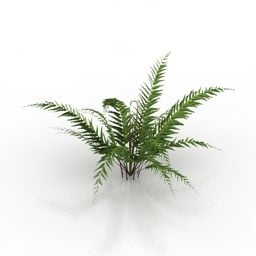 シダ ブレクナム ブッシュ園芸植物 V1 3D モデル