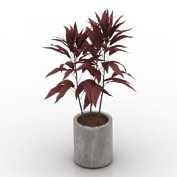 Potted Plant Cordyline Fruticosa V1 3d model