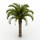 Palm Gardening Tree