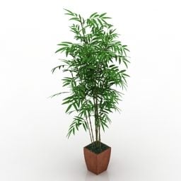 Plant House Potted 3d model