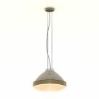 Luster Modern Ceiling Lamp
