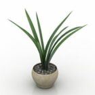 Plant Flower Vase