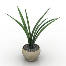 Plant blomvas 3d-modell