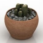 Decoro per piante in vaso di cactus