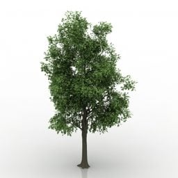 דגם 3D Big Tree Garden