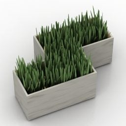 Box Garden Potted 3d model