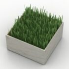 Grass Plant Square Potted